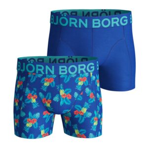 Björn Borg Paradise boxershorts 2-pack heren blauw -